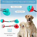 Brinquedo Pet De Cachorro Push Ball Mordedor Interativo Corda Com Bolinha Porta Petisco Ventosa Chão
