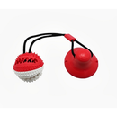 Push Ball Mordedor Interativo com Ventosa
