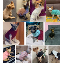 Roupa de Cachorro Gato Frio Inverno Pequenos Medios Grande Porte SF
