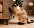 Arranhador de Gato com Carpete Autoadesivo