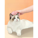 Escova Massageadora com Dispenser de Shampoo – Banho Fácil e Relaxante para Cachorros e Gatos