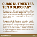 Suplemento Vitaminico Glicopan Pet 30ml - Vetnil