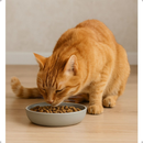 Ração Biofresh Gatos Adultos | Frango, Maçã & Blueberry Grain Free 7.5kg